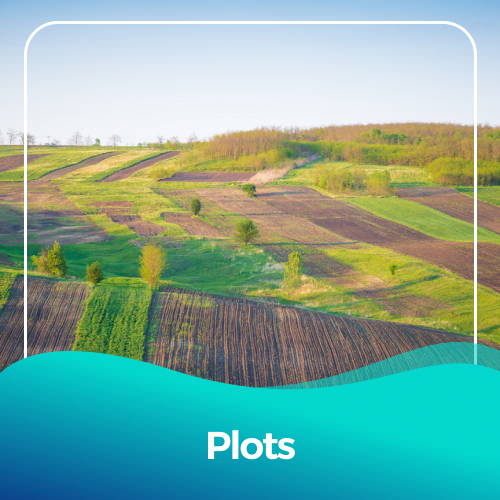 Hall 2 - Plots